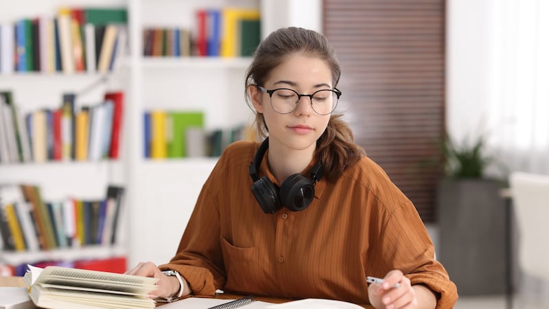 Here’s a study guide for the final months before the Leaving Cert exams