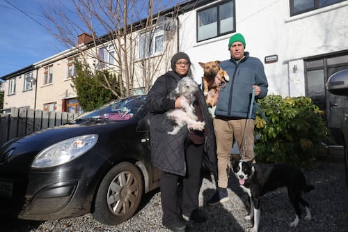 ‘The rental situation needs to change’: Pet owners struggle to find homes in a housing crisis