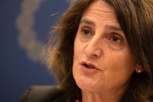 Ireland’s vote against Mercosur down to baseless fears, says von der Leyen’s deputy