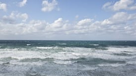 Environmental breakdown isn’t a distant possibility – it’s a threat to world stability 